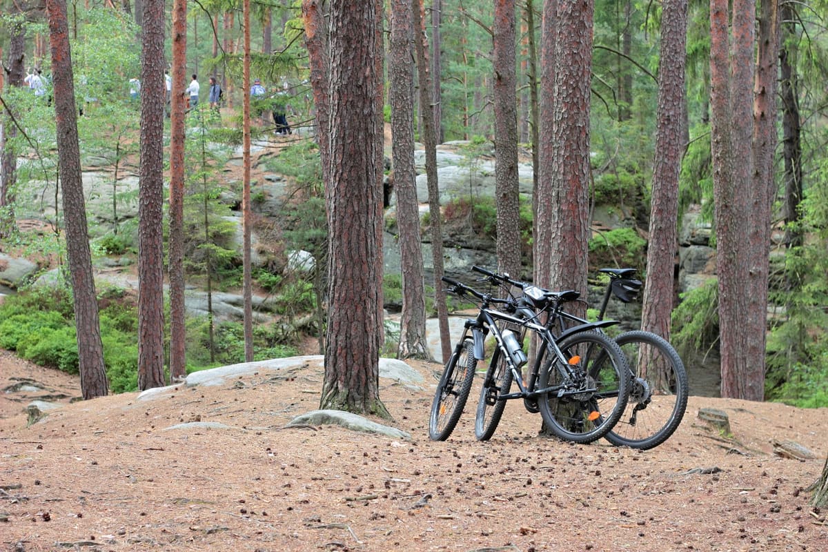 Mountain bike aro 29 em trilha de terra
